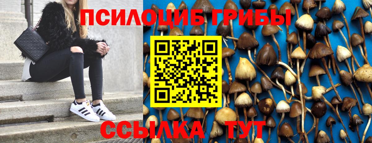 Галлюциногенные грибы GOLDEN TEACHER Магнитогорск